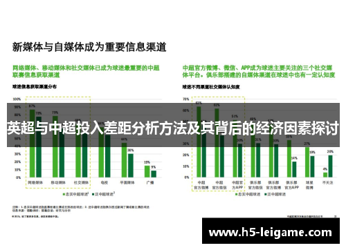 英超与中超投入差距分析方法及其背后的经济因素探讨