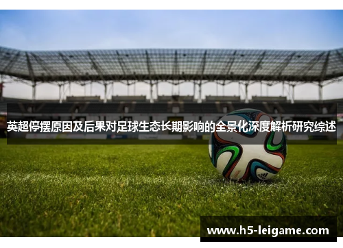 英超停摆原因及后果对足球生态长期影响的全景化深度解析研究综述 英超停摆原因及后果对足球生态长期影响的全景化深度解析研究综述