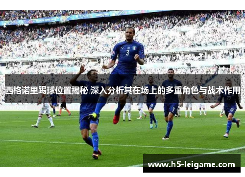 西格诺里踢球位置揭秘 深入分析其在场上的多重角色与战术作用