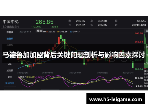 马德鲁加加盟背后关键问题剖析与影响因素探讨 马德鲁加加盟背后关键问题剖析与影响因素探讨